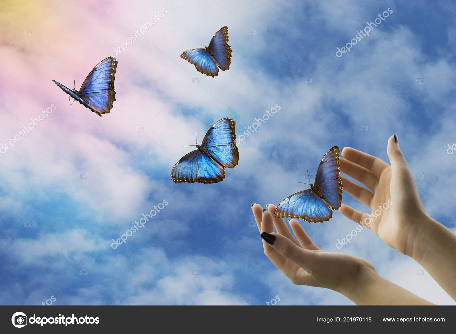 Offene Hände Lassen Schöne Blaue Schmetterlinge Mystischen Himmel Los -  Stockfotografie: lizenzfreie Fotos © luigi58 201970118