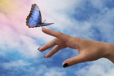 beautiful blue butterfly glides towards the outstretched hand with mystic sky background clipart
