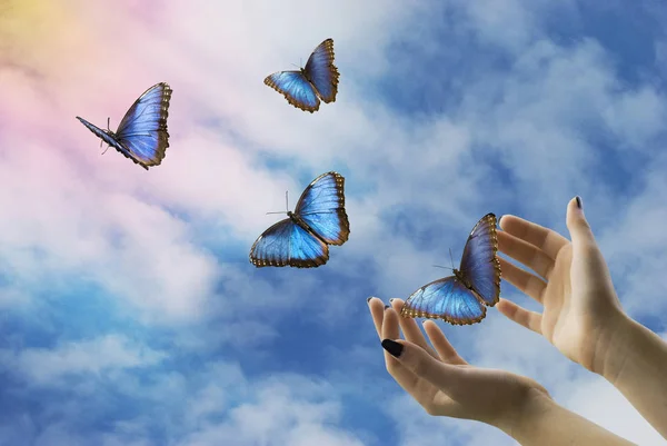 张开双手让美丽的蓝色蝴蝶在神秘的天空中离去 — 图库照片