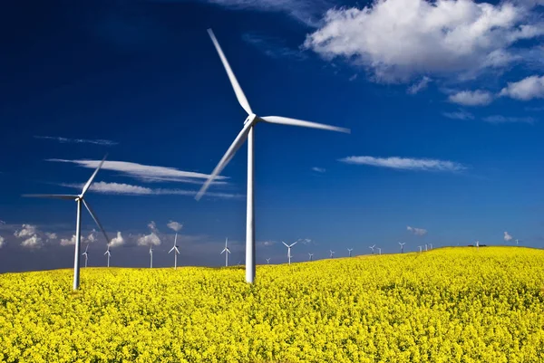 Environment and alternative energy — Stock Photo, Image