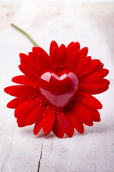 Gerbera und rotes Herz zum Valentinstag — Stockfoto