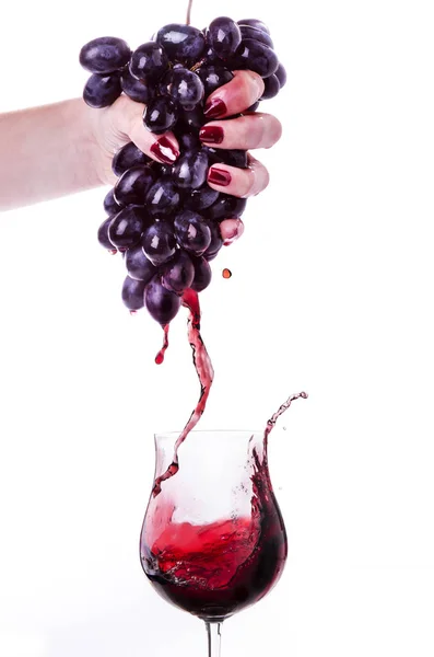 Vino tinto del prensado del racimo de uvas — Foto de Stock