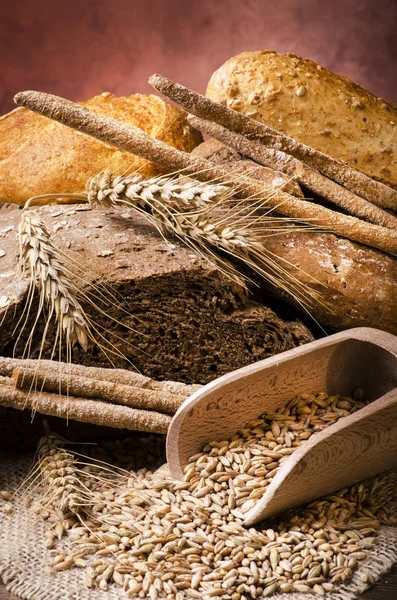 Natura morta. Composizione con diversi tipi di pane — Foto Stock