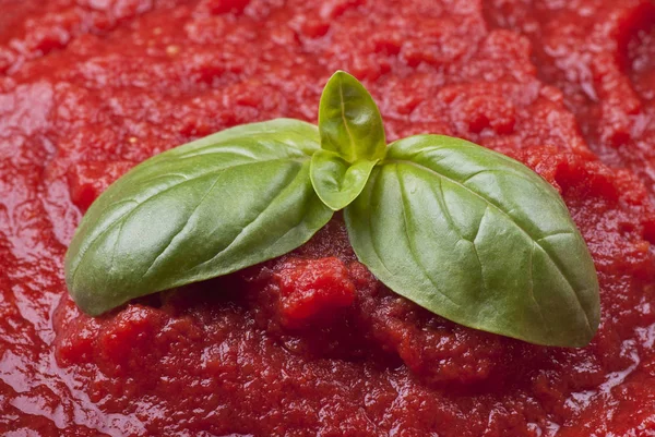 Domácí tomatová omáčka — Stock fotografie