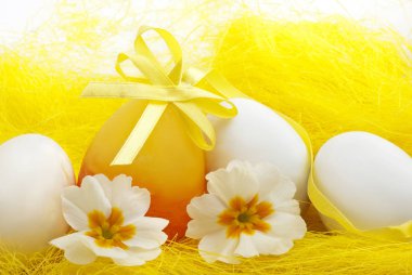Yumurta ve çiçek açan çuha çiçeği ile Paskalya dekorasyonu