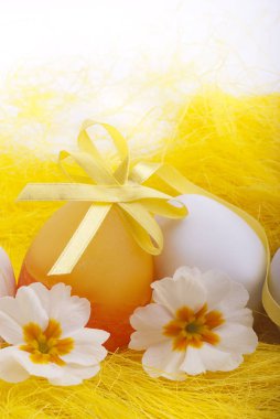 Yumurta ve çiçek açan çuha çiçeği ile Paskalya dekorasyonu