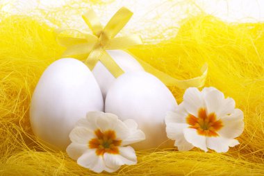 Yumurta ve çiçek açan çuha çiçeği ile Paskalya dekorasyonu