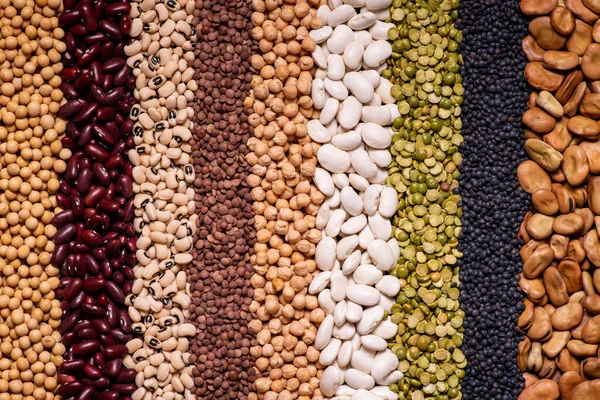 Background Seen Large Variety Dried Legumes Arranged Vertical Rows — Stock Photo, Image