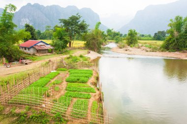 Kırsal Kuzey Laos, riverside ve küçük ev sebze Bahçe. Pirinç alan ve dağ arka plan. Vang Viang.