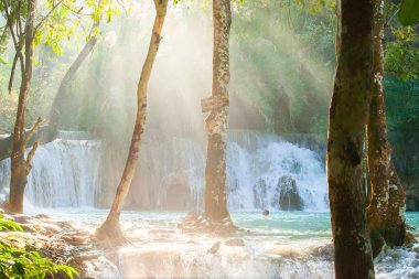 Yaz saati, şelale ve turist etrafında ağaçlar tropikal aracılığıyla ışık ışınları. Tat Kuang Si şelaleler. Luang Prabang, Laos. Yumuşak ışık.