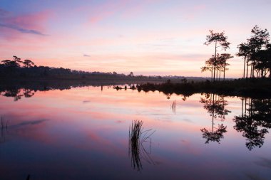 Tropikal gölüzerinde dramatik günbatımı gökyüzü yansıması.
