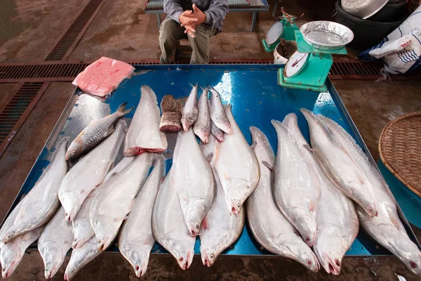 Nagy édesvízi halak a Mekong folyó a Pakse piac. — Stock Fotó
