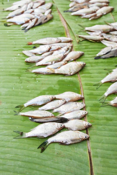 Édesvízi hal feküdt a banánlevél a helyi piacon. — Stock Fotó