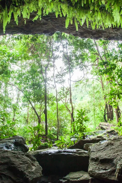 Dentro da caverna mística na floresta tropical . — Fotografia de Stock