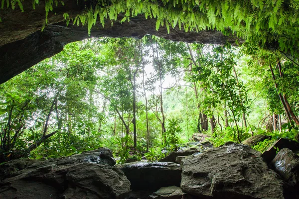 Dentro da caverna mística na floresta tropical . — Fotografia de Stock