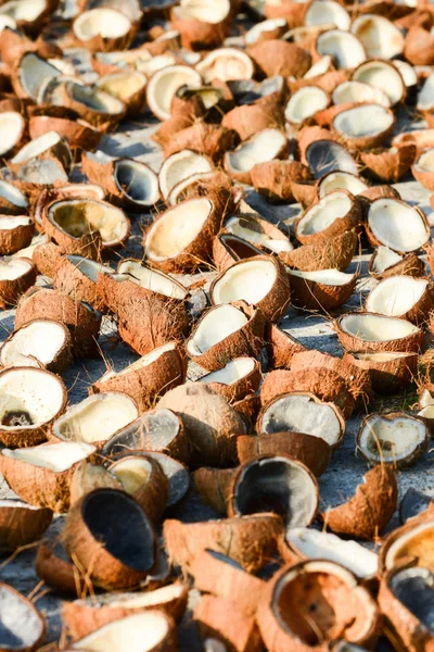 Dużo mięsa kokosowego i skorupy orzecha kokosowego na białej betonowej podłodze. — Zdjęcie stockowe