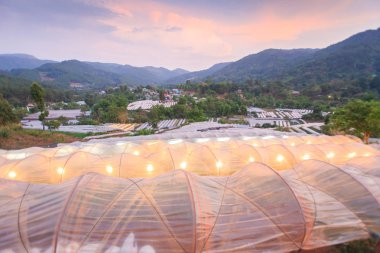 Alacakaranlıkta vadide Bahçe sera.