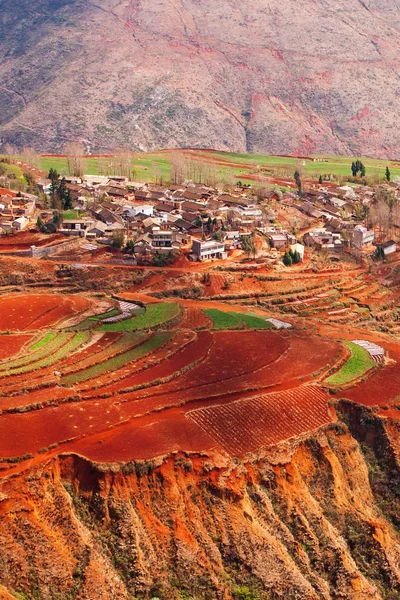 Dongchuan'daki Kızıl Arazi'nin buğday teraslarının çarpıcı havadan görünümü. — Stok fotoğraf