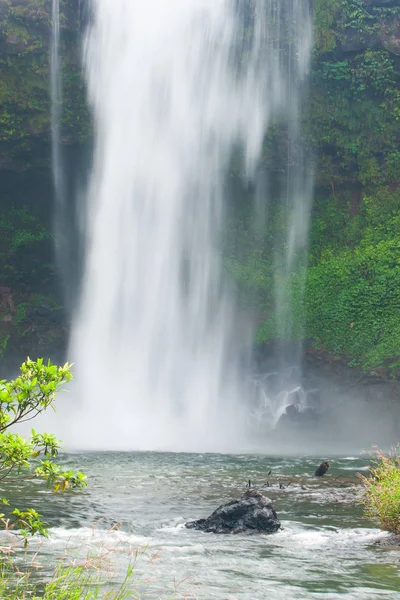 Cachoeira tropical pitoresca na manhã da chuva . — Fotografia de Stock