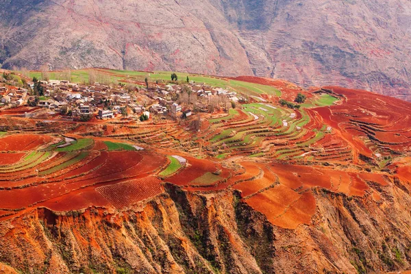 Superbe vue aérienne des terrasses de blé de Terre Rouge à Dongchuan . — Photo