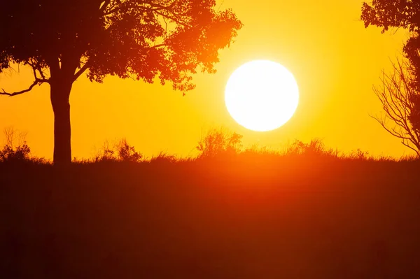 熱帯の草原に沈む輝く太陽. — ストック写真