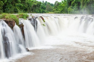 Hafifçe yağmur sabah şelale.