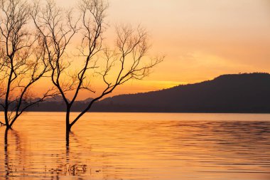 Gün batımında sakin bir tropik göl.