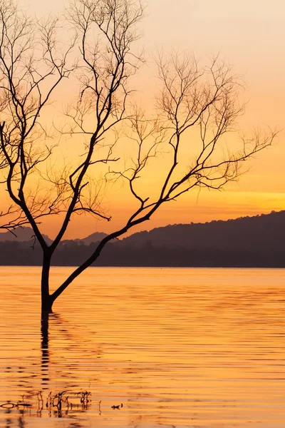 Um lago tropical tranquilo ao pôr do sol . — Fotografia de Stock