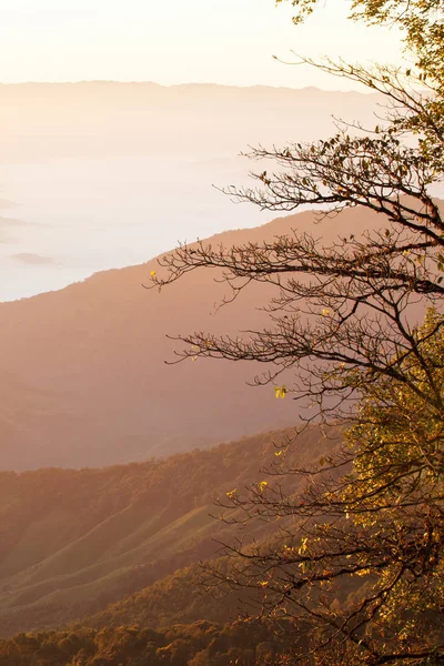 Suavemente el amanecer brilla sobre la montaña en la niebla de la mañana . —  Fotos de Stock