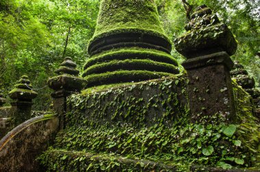 Yosun ve liken antik pagoda 'yı kaplamış..
