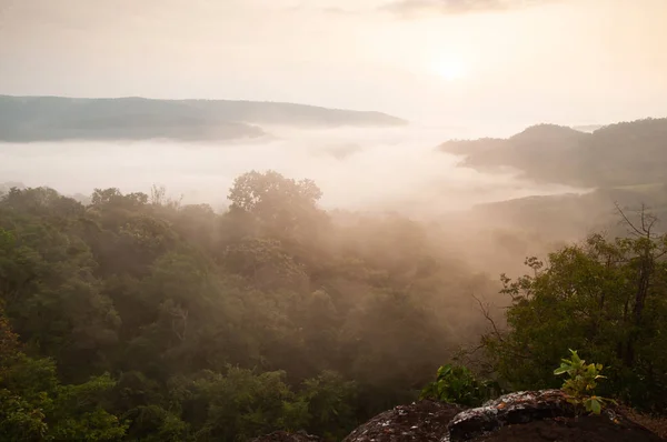 Suavemente el amanecer brilla en el mar de niebla en el valle . —  Fotos de Stock