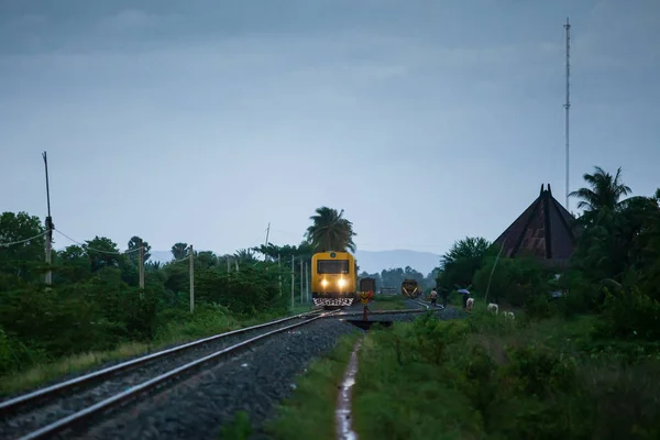 Δύο επιβατικές αμαξοστοιχίες που διέρχονται από μικρή σιδηροδρομική διασταύρωση σε — Φωτογραφία Αρχείου