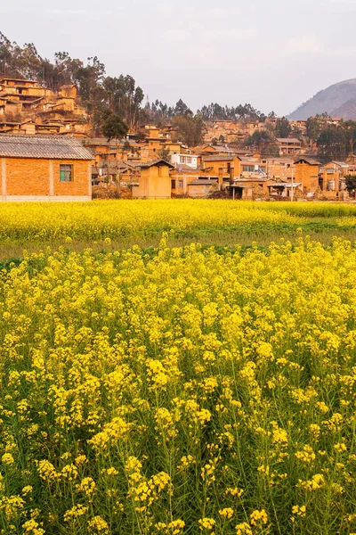Färgglada landskap blommande senapsfält och antika byn. — Stockfoto