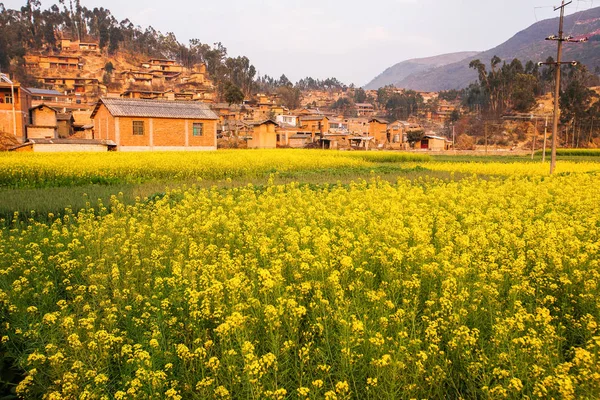 Färgglada landskap blommande senapsfält och antika byn. — Stockfoto