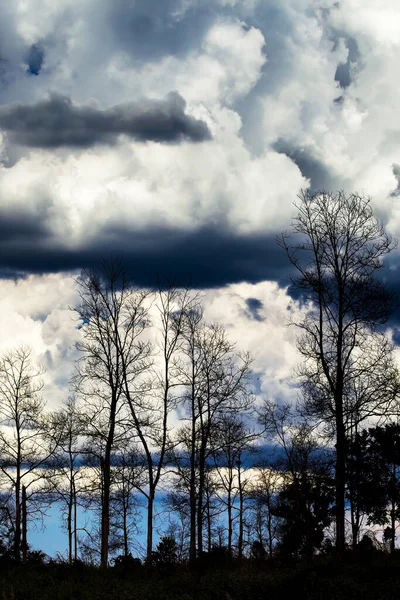 Dramática Tormenta Oscura Sobre Bosque Negro Mágica Mística Tormenta Oscura — Foto de Stock