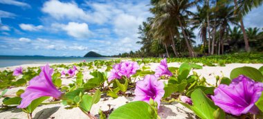 Güneşli yaz mevsiminde Sahil Sabah Zaferi 'nin açtığı parlak ve güzel tropikal plaj. Güney Tayland.