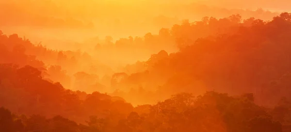 Splendida Montagna Autunnale Nella Nebbia Mattutina Alba Splende Sulla Foresta — Foto Stock