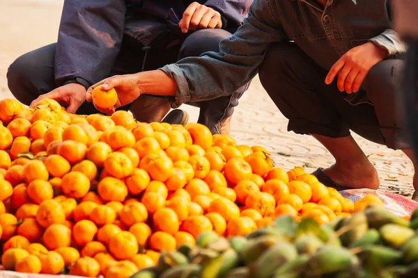 Zbliżenie Dwóch Wietnamczyków Wybiera Dojrzałe Świeże Pomarańcze Poboczu Drogi Północnym — Zdjęcie stockowe