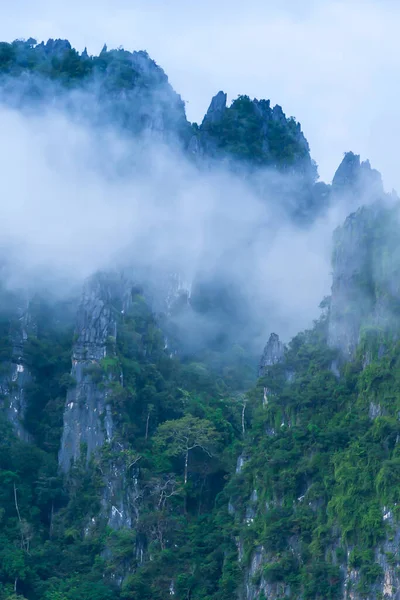 Zachtjes Ochtendmist Bedekt Een Kalksteenbergen Winter Scene Noord Laos Zachte — Stockfoto