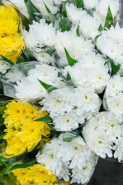 Top view of fresh blossoming carnations displays at a local florist shop, beautiful white and yellow carnations display on a sidewalk. Close-up. Full frame.