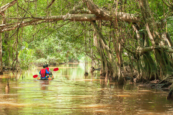 Inflatable canoeing in flooded banyan tree forest.