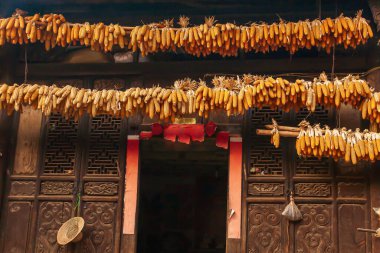 Çin 'in antik evinin çatısında asılmış kabuklu sarı mısır koçanları. Yunnan, Güney Çin' de doğal olarak kuruyan kırsal bir yer..