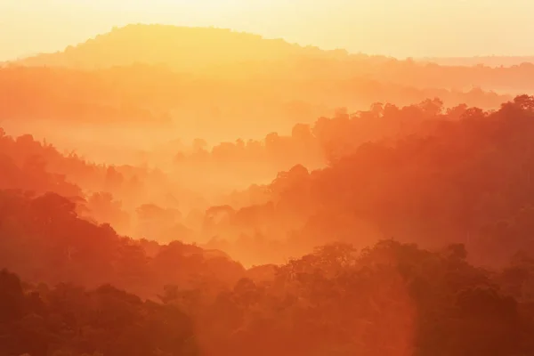 Herrlicher Herbstberg Morgennebel Glühender Sonnenaufgang Leuchtet Auf Den Herbstlichen Wald — Stockfoto