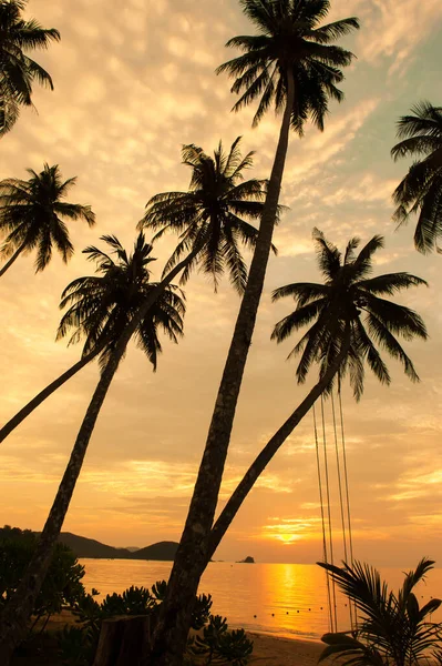 Landschap Van Een Rustig Tropisch Eiland Zomerschemering Silhouet Van Kokospalmen — Stockfoto