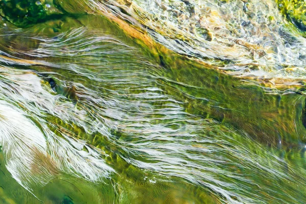Abstrakcyjne Kolory Odcienia Chwastów Rzecznych Glonów Rosnących Płytkich Wodach Gorącego — Zdjęcie stockowe