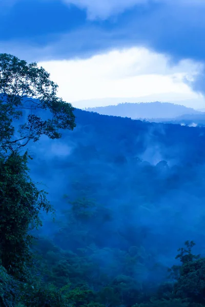 Vista Aérea Mágica Floresta Tropical Pela Manhã Neblina Suavemente Azul — Fotografia de Stock