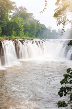 Resimli Tad Pha Suam Şelalesi gündoğumunda, tropikal bir ormanda saf şelale, Güney Laos 'ta seyahat noktaları.
