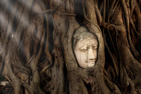 Antigua Cabeza Buda Cubierta Por Las Raíces Del Árbol Bodhi —  Fotos de Stock