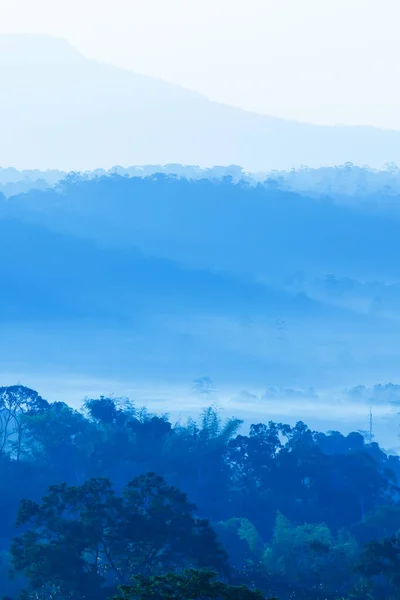 Uma Paisagem Tranquila Montanha Azul Névoa Manhã Nascer Sol Suave — Fotografia de Stock