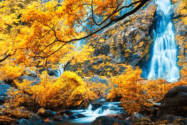 Wunderschöner Wasserfall Einem Farbenfrohen Wald Helle Und Schöne Blätter Nach — Stockfoto
